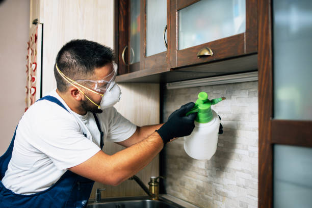 Best Mosquito Control Services  in Lakeview, OR