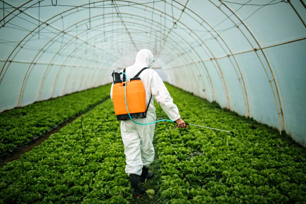 Best Best Pest Control Companies  in Lakeview, OR