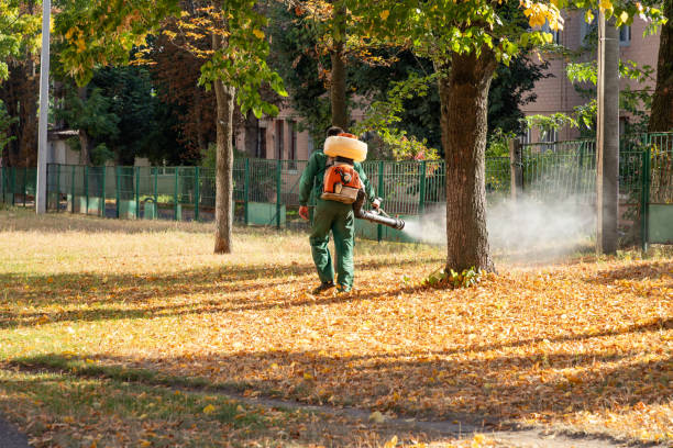 Best Local Pest Control Services  in Lakeview, OR
