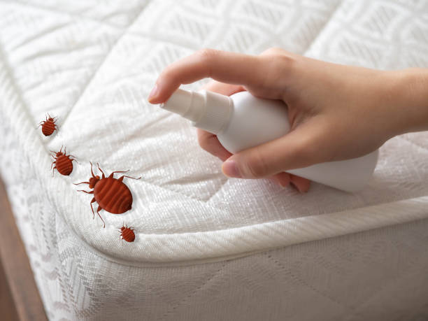 Best Flea Control Services  in Lakeview, OR