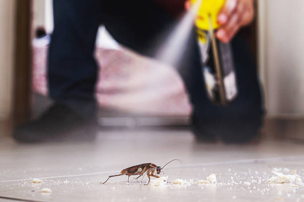 Best Ant Control Services  in Lakeview, OR